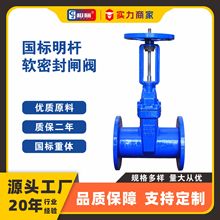 Z41X-10Q明杆软密封闸阀球墨铸铁给排自来水消防国标弹性密封