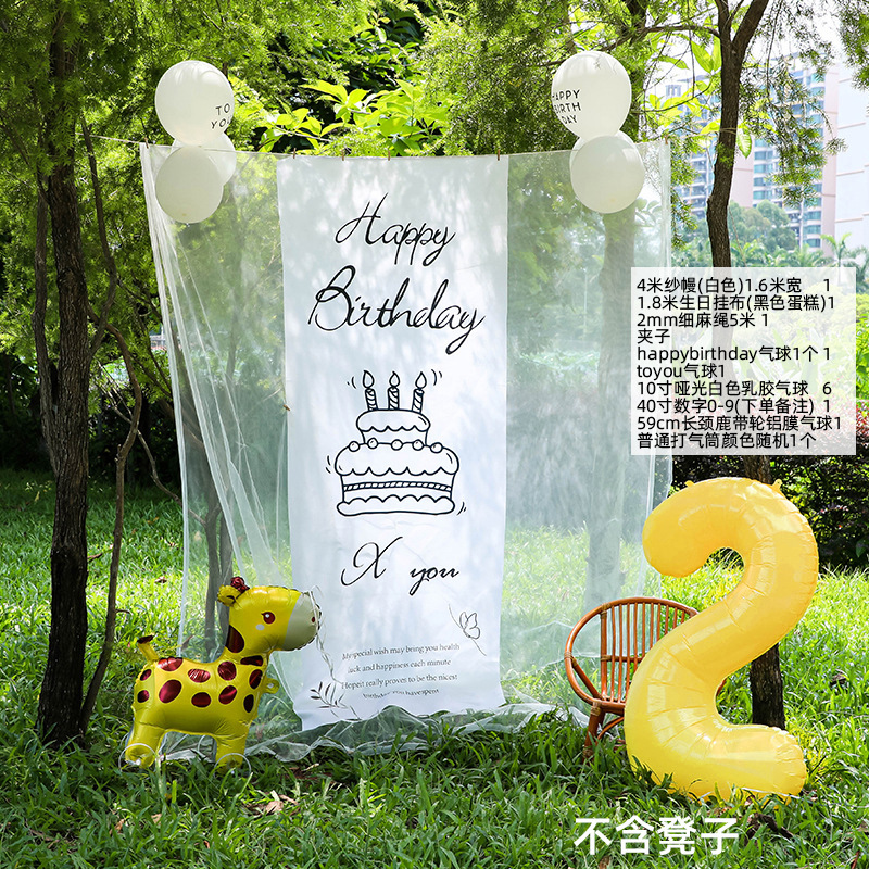 小红薯同款户外生日场景氛围布置装饰网纱背景挂布6周岁男孩拍照|undefined