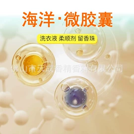 日用香精;其他香料香精;除味剂