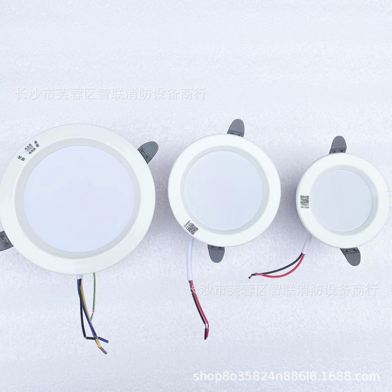 东君A型36V智能消防联动 东君电源集中控制型筒灯