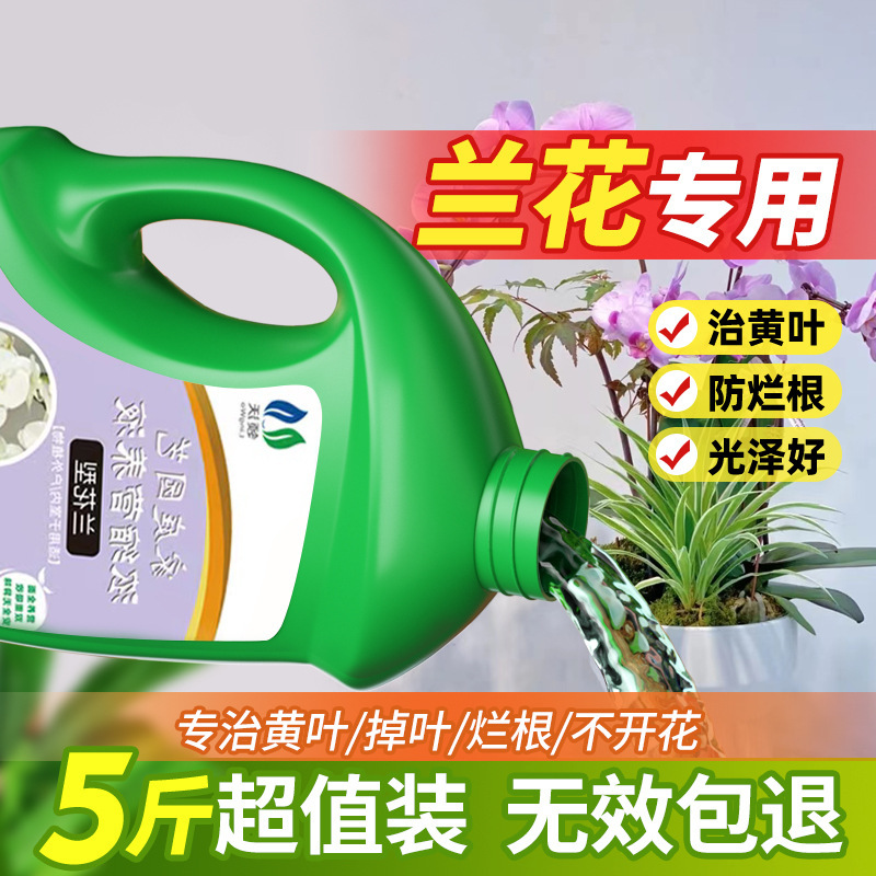 Lingwo 養液植物ユニバーサル花緑植物金のなる木水耕豊かな竹の花の肥料ドロップシッピング|undefined