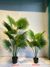 仿真扇葵树盆栽景小棕树热带造景扇形叶防真绿植餐厅软装搭配植物