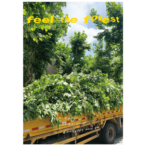 feel the forest feel the autumn feeling of the forest art poster Korean ins fresh decorative hanging painting