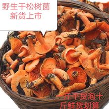 ��؛��Ұ���ɘ���������鹽����Ұ������؛���ž�����������Ҝ�