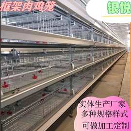 全自动框架肉鸡笼半自动立体鸡舍镀锌自动除  养殖养鸡可供国内外