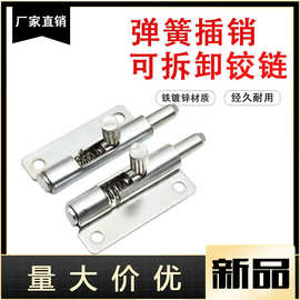 对称弹簧插销铰链 伸缩门铰F6-20-N1A50WR/L弹簧对称铰链