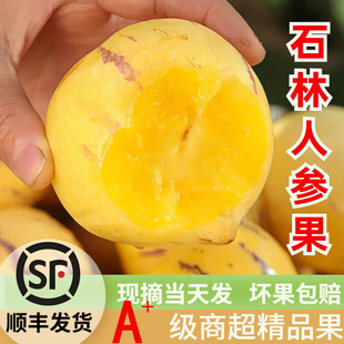 ���ʯ���˅������rˮ���A���������SƤ�ش���������خa������]