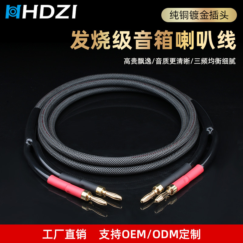 Hhdzi5N High-Purity Copper Hifi Speaker Cable Main and Auxiliary Speakers Surround Amplifier Computer Audio Cable Oxygen-Free Copper