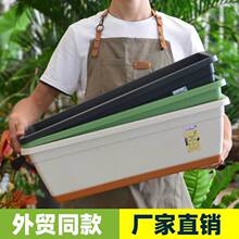 �L�����̨�N�����҃��߲˷Nֲ�������L�l�N��������֬��ݮ�軨��