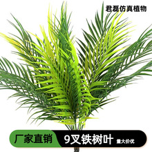 �羳����9���F���~�ؙ��~����ֲ��Ꭷ�Gֲާ��ַ���Gֲ���l