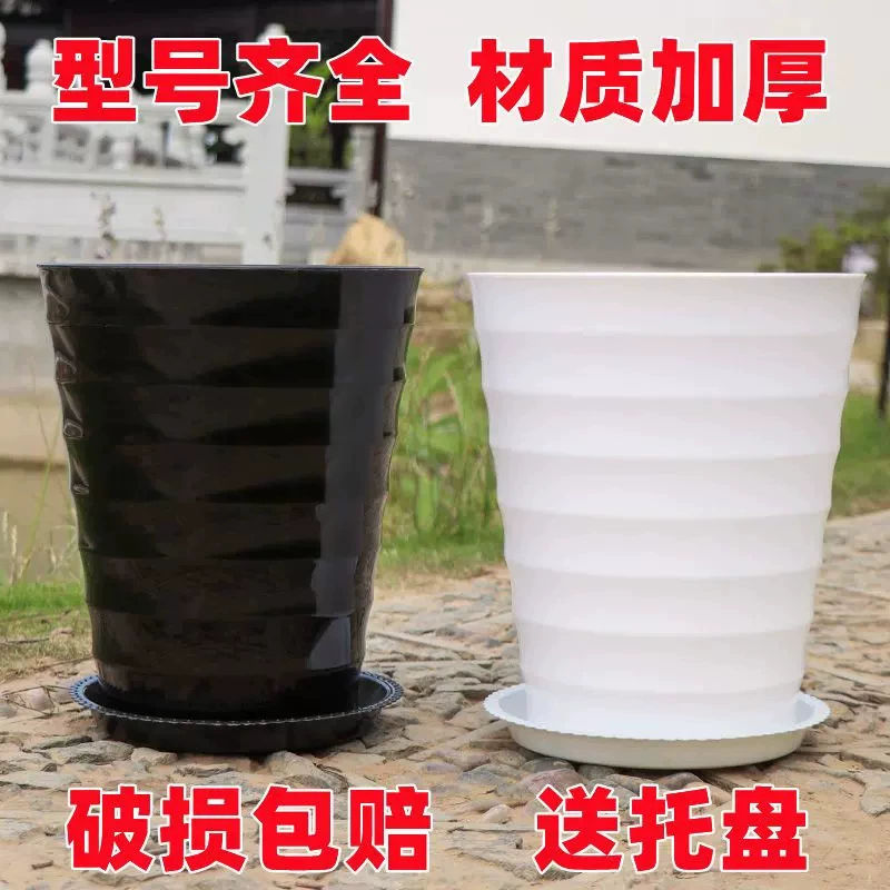 Бытовая очень большая черно-белая нить цветок деньги дерево цветочный горшок гостиная Смола растение балкон Простой пластиковый таз