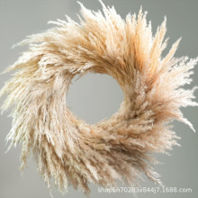 �ɻ��JȔ���h�����ׁ��L�}�Q�ֹ����������b��h�T鹻�������l