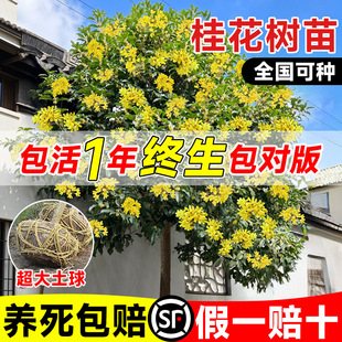 �𻨘������ļ������Ԫ�t�������ԑ���ͥԺ�������F����B