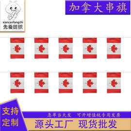 14*21cm加拿大串旗方形球迷旗帜20*28cm吊旗涤纶拉旗厂家现货批发