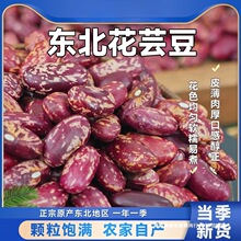 �|���خa��ܿ�������r��������������s�Z�ϻ��tܿ������ʳ��