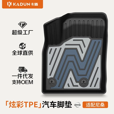 Suitable for Nissan Sylphy, Teana, Qashqai, X-Trail, N7, N6, Special Colorful Tpe Car Floor Mats