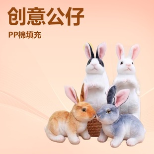 �������ӹ��пɐ�����żë�q������l�̳�ץ���ޔ[���Y��������