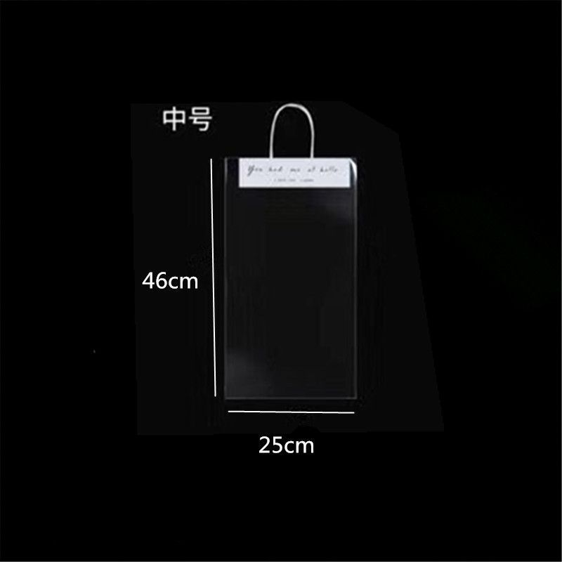 SKU_04_型号 网红透明袋中号;套餐 1个试用装