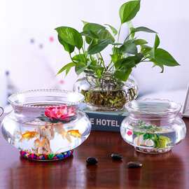 Lazy small fish tank transparent lace glass round懒人小鱼缸1