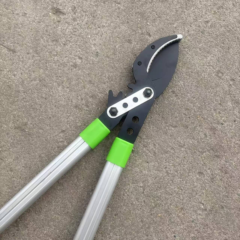 微信图片_20260129143014_574_408.jp