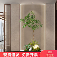 ���`��������ֲ���쾰�bGֲܛ�b΢���^Ԍ���L�҃����P�սǲ���