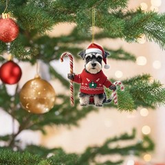 クリスマスホットセールの赤いセーターシュナウザーがキャンディケインを保持しています。クリスマスオーナメントや車のオーナメントに適しています。
