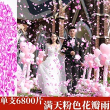 ��c��Ʒ�Y��Ͳ�_���ʇ��������_�I��Y��Ͳ�ʎ��Y����Ʒ�Y���֔Q