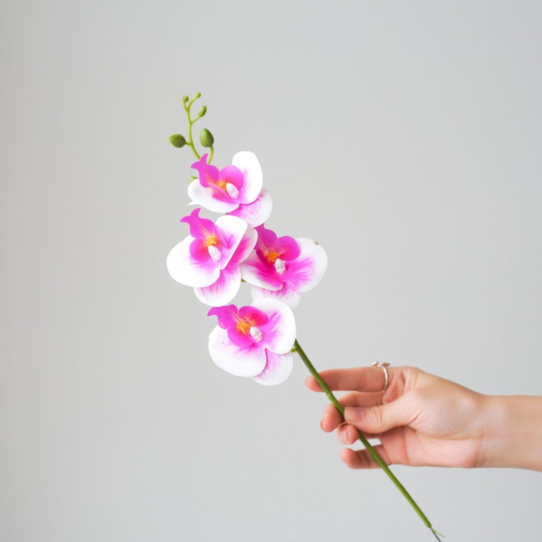 흰색 보라색 코어