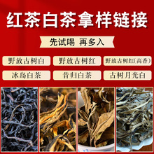 云南古树滇红茶 冰岛古树白茶 蜜香单芽野生古树红茶批发样版