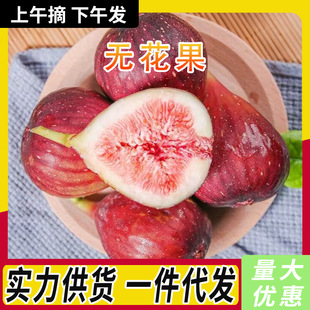 ��S���]�Fժ���r�o�����F�l��������ЋDˮ���tƤ�o�����������l