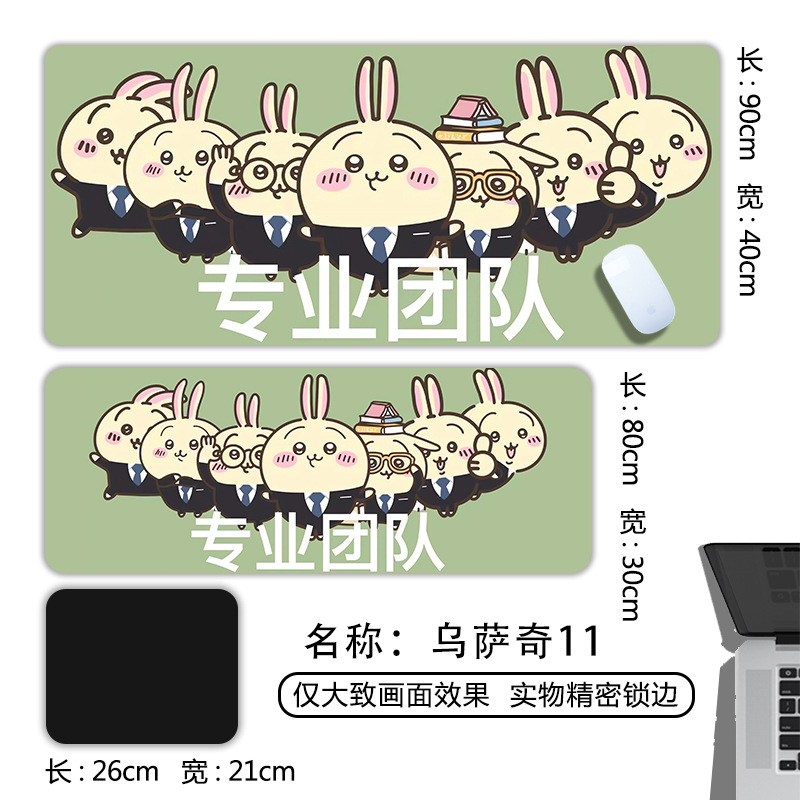 우르 세지 11