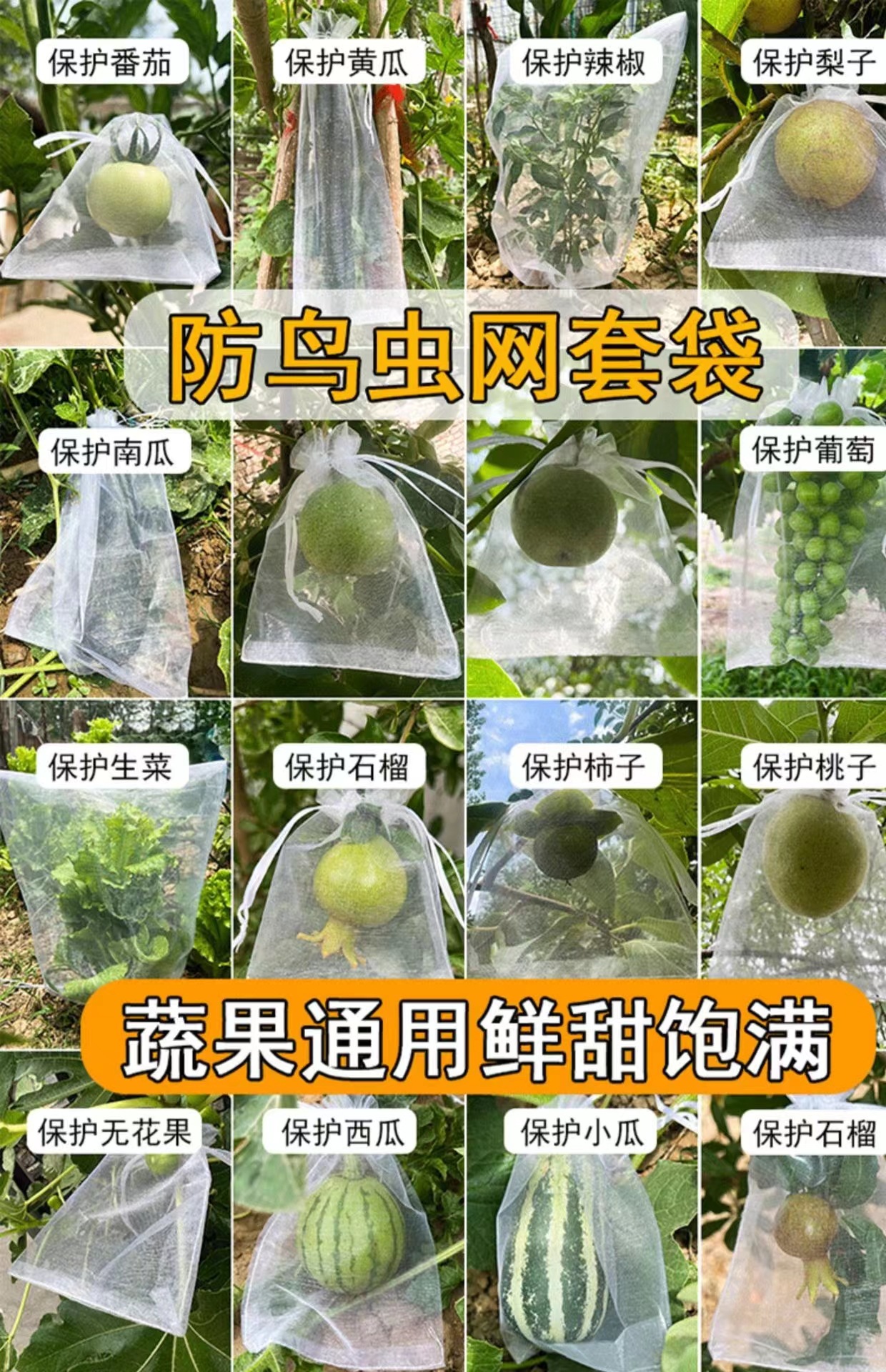 微信图片_20240330200644