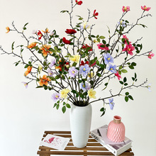 ѩ��ɽ�軨5���С8�仨���l�͏d�����[���Ҿ��̈��廨����軨