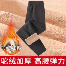 秋冬男士加绒加厚一体打底裤无缝不倒绒内衣裤保暖加厚九分裤批发