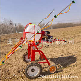 自走式汽油柴油打药机 小麦玉米地手扶式喷药机 农用杀虫喷雾机
