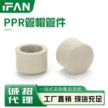 PPR管帽4分6分工程热熔水管20管堵管盖闷头全规格给水管加厚堵头