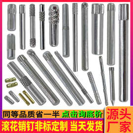 压花轴定位插销定位销钉支架销钉转轴插销翻盖销钉按钮销钉加工