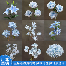 ��c�{ɫ���滨10ֻ�bõ�彑��ĵ������Y�û�ˇ�b廨·������