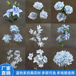 ��c�{ɫ���滨10ֻ�bõ�彑��ĵ������Y�û�ˇ�b廨·������