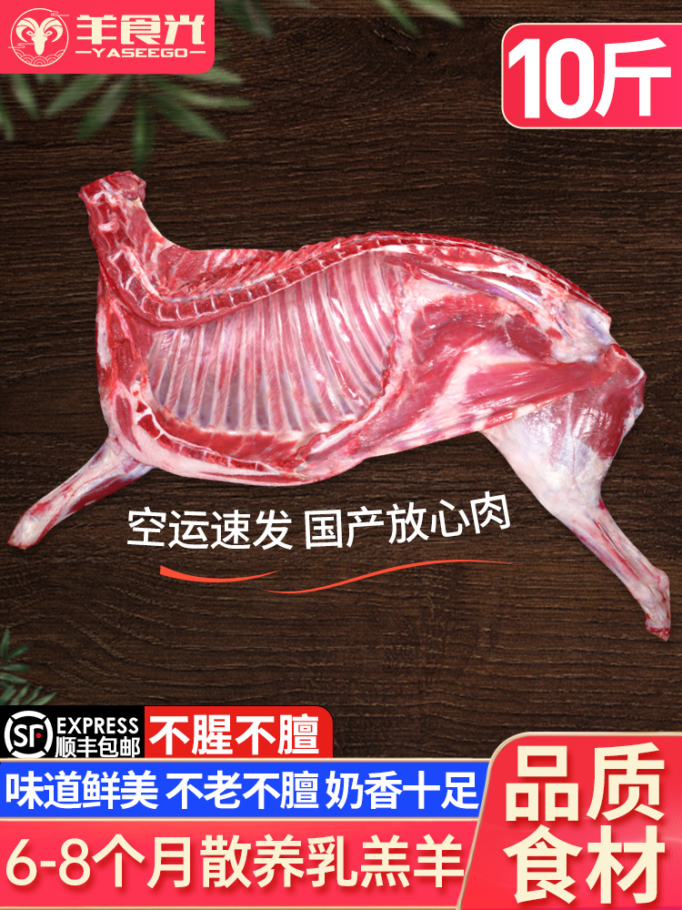 羊肉新鲜半只羊10斤滩羊后腿肉羔羊肋排手把肉羊蝎子食材年货礼盒
