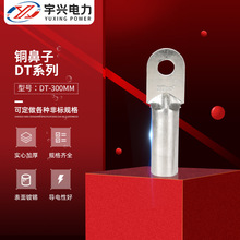 �~�����ӽӾ����� DT-300mm�Ӿ������~���^ 늾���|�~�����~����