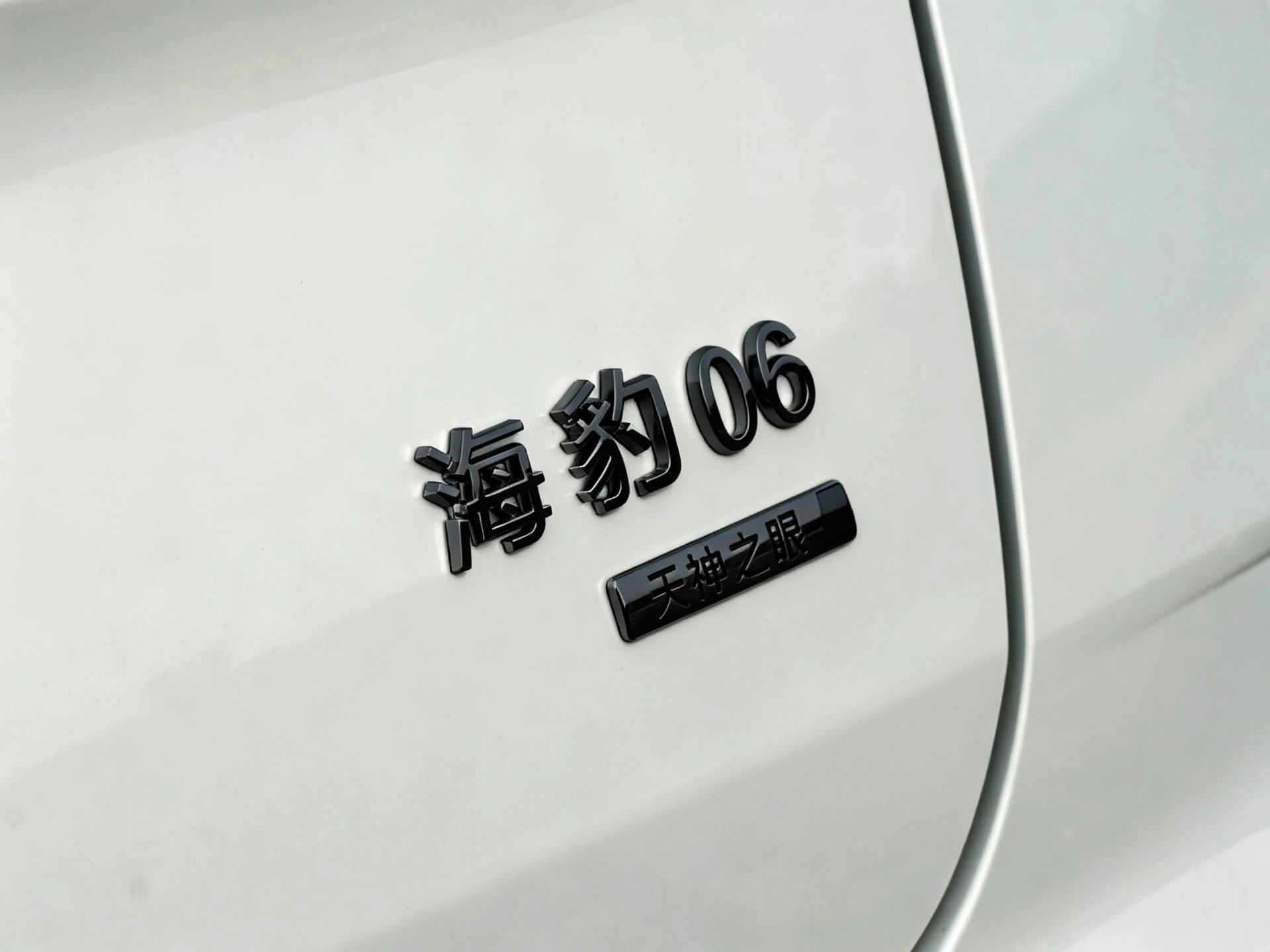 Byd Seal 6/6Gt Blackened Front Emblem, No Need to Remove, Cover with Blackened Glossy Black Car Emblem, Modified to Black Warrior Emblem