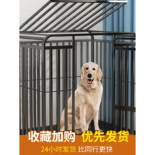 ���\�Ӵ���Ȯ���� �ӹ̽�ë�������๷�\����Ȯ���� ���\�ӼӴ�