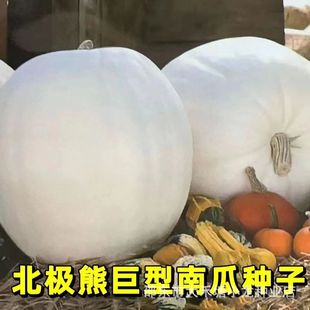 ��ɫ�����ϹϷN�ӱ��O�ܾ����ϹϷN�Ӵ���ϹϷN��ͥԺ�����߲�