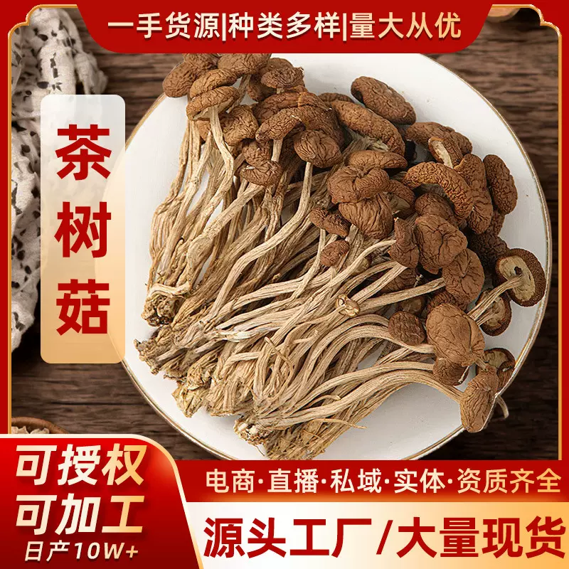 【厂家直发】干茶树菇开伞干货一斤装散装菌菇5斤茶树菇干货批发