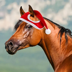 快適なウールサイドサンタ帽子-馬に適した柔らかいポリエステル繊維の祝日アクセサリー