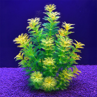 Fish Zhijing Factory Wholesale Fish Tank Landscape Simulation Aqua Aqua Decorative Plastic Fake Aqua Seagrass Plant Set