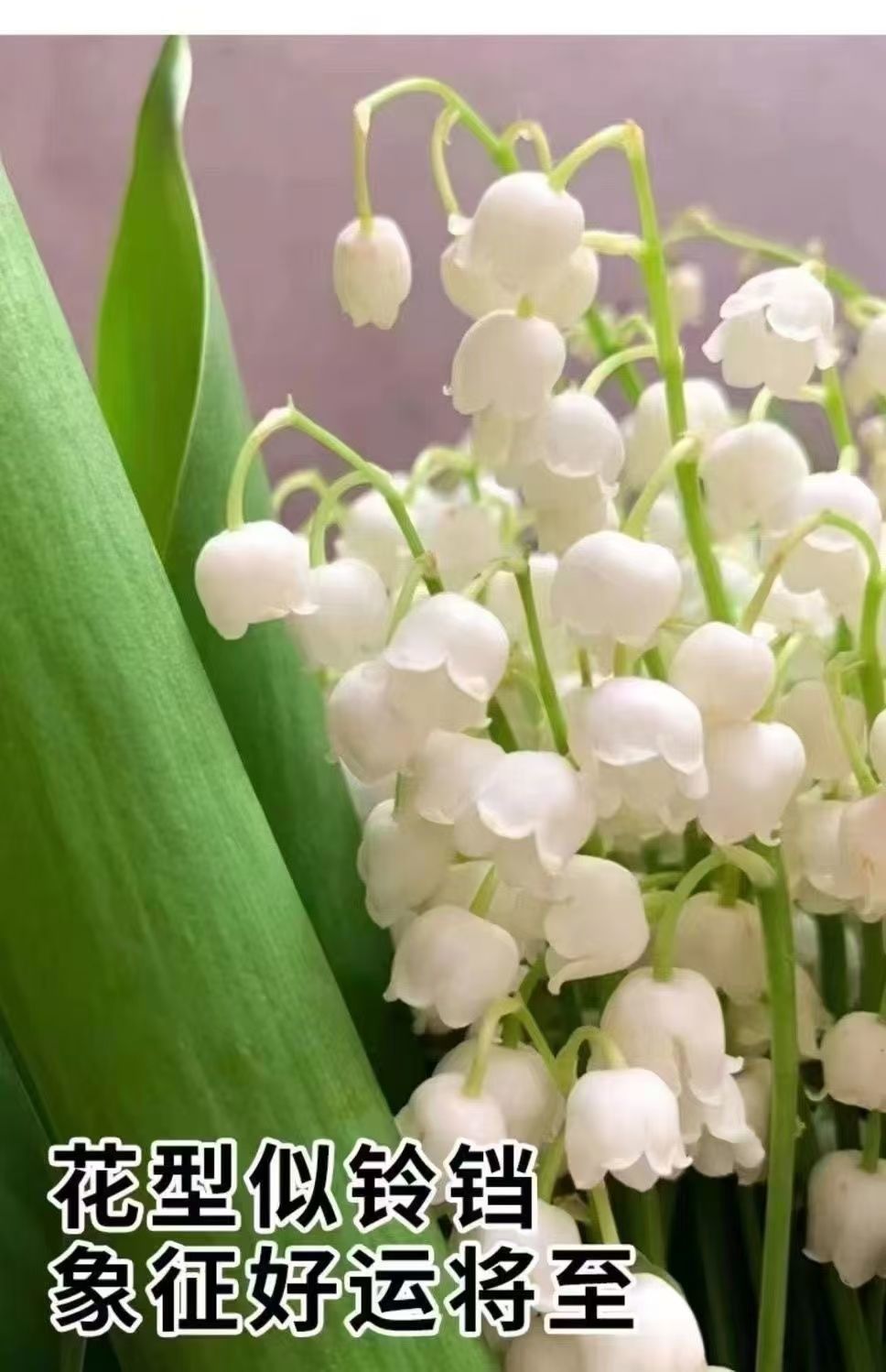 a640bc89-4e5c-48c2-b422-68c242e7844b.jpe