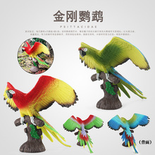�羳��ͯ����ƽ�ɭ�ֶ���ģ�ͽ�����ķ������ද��԰װ�ΰڼ�