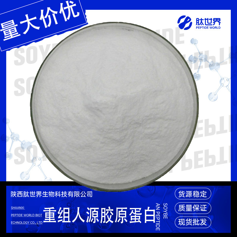 99% Recombinant Human Collagen Human Collagen in stock Free Shipping Recombinant Human Collagen Type 3